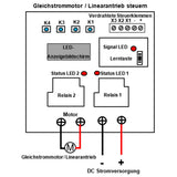 Funkschalter mit Zeitschaltuhr für Gleichstrommotoren oder Linearantriebe (Modell 0020088)