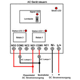 2 Kanäl DC Eingang Funklichtschalter 1000m Reichweite Fernbedienung (Modell 0020200)