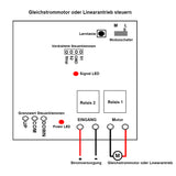 DC 12V 24V 6000N Industrieller Linearantrieb mit Fernbedienung Elektrischer Elektrozylinder (Modell 0043080)