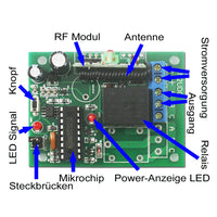 Eine-Kontrolle-Zwölf 2000M kabelloses Fernsteuerungsset mit Direktem Stromausgang (Modell 0020345)