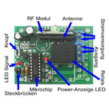 Eine-Kontrolle-Zwölf 2000M kabelloses Fernsteuerungsset mit Direktem Stromausgang (Modell 0020345)