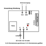 10A DC 6/9/12/24V RF Fernkontroller --- ein Sender Kontrolliert 12 Empfänger (Modell 0020630)