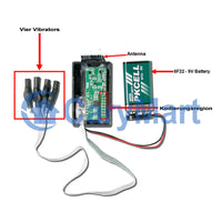 Drahtlos Fernbedienter Vibrator/Piepser Set 315MHz 4 Taste Fernbedienung 500M (Modell 0020162)