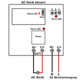 DC Signal Trigger Sender und AC 110V 220V Signal Ausgang Empfänger (Modell 0020523)