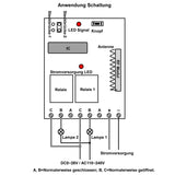 2-Kanal DC Funkschalter Steuerung mit Speicherfunktion 433MHz 12V (Modell 0020232)